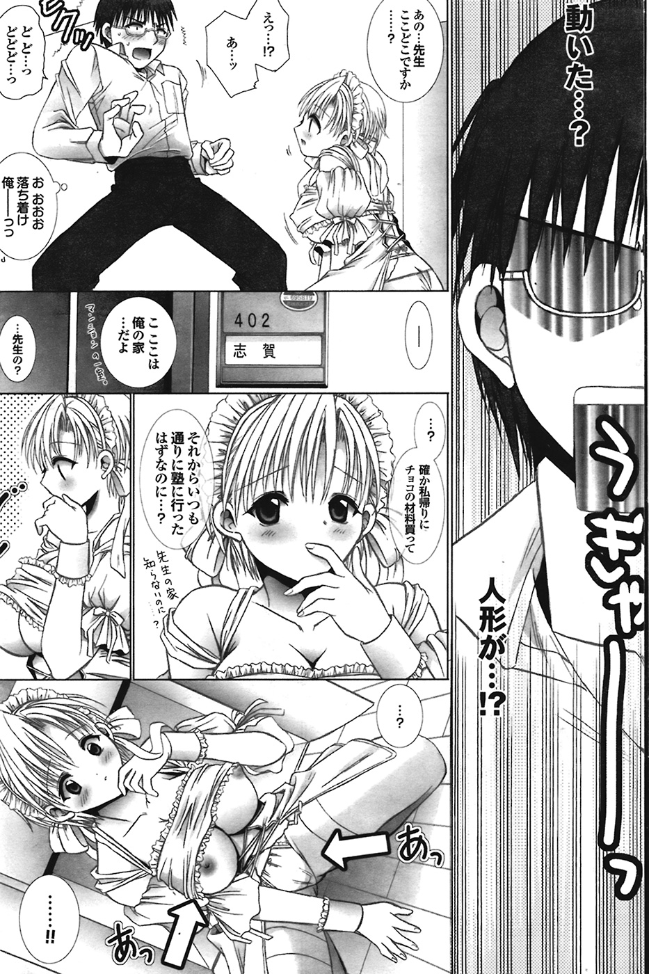 COMIC プルメロ 2009年1月号 vol.25