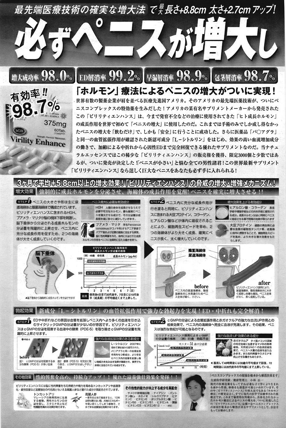 COMIC プルメロ 2009年1月号 vol.25