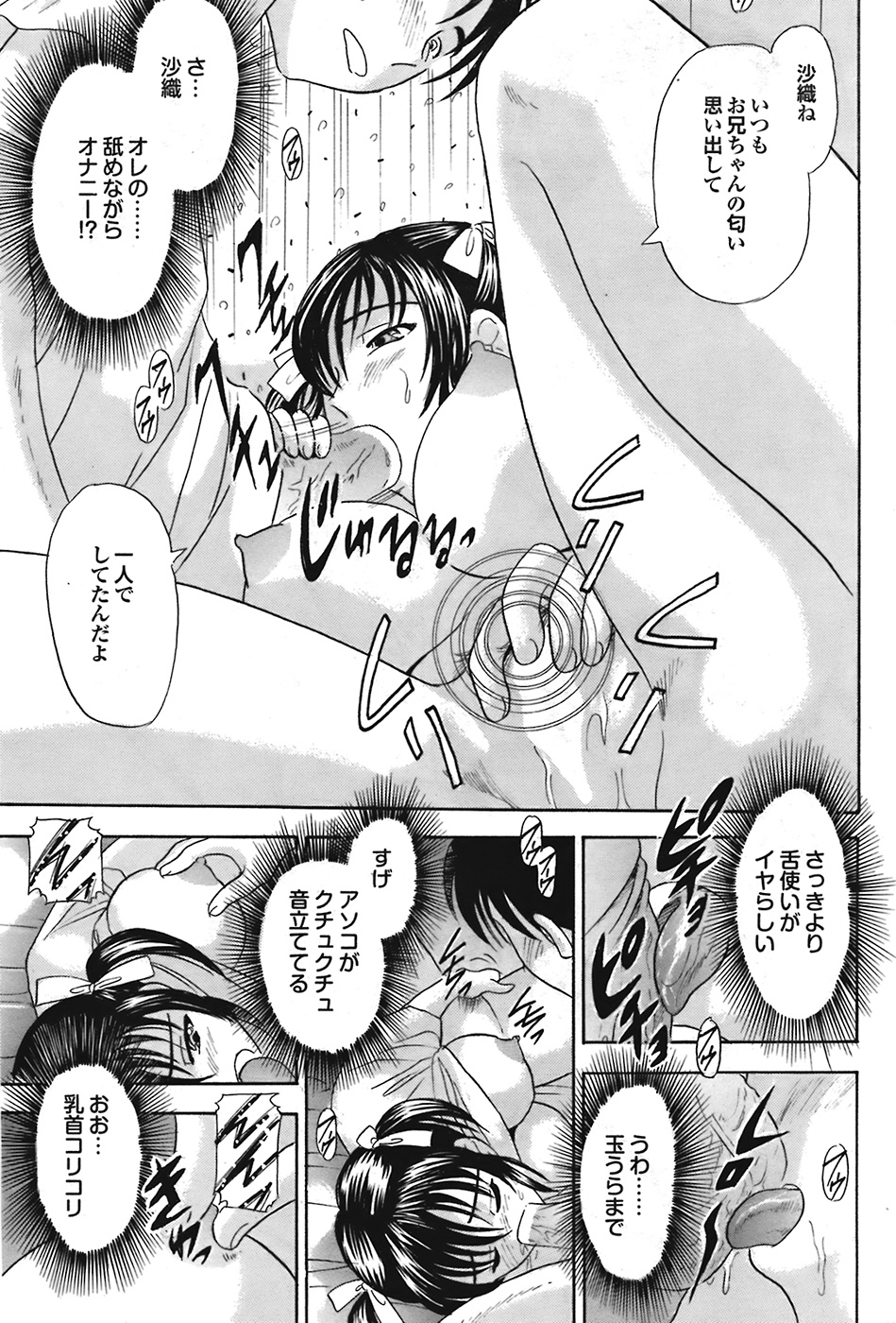 COMIC プルメロ 2009年1月号 vol.25