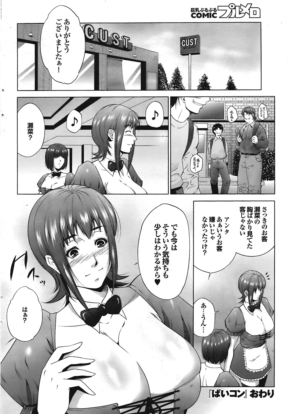 COMIC プルメロ 2009年1月号 vol.25