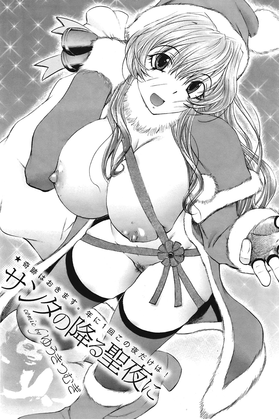 COMIC プルメロ 2009年1月号 vol.25