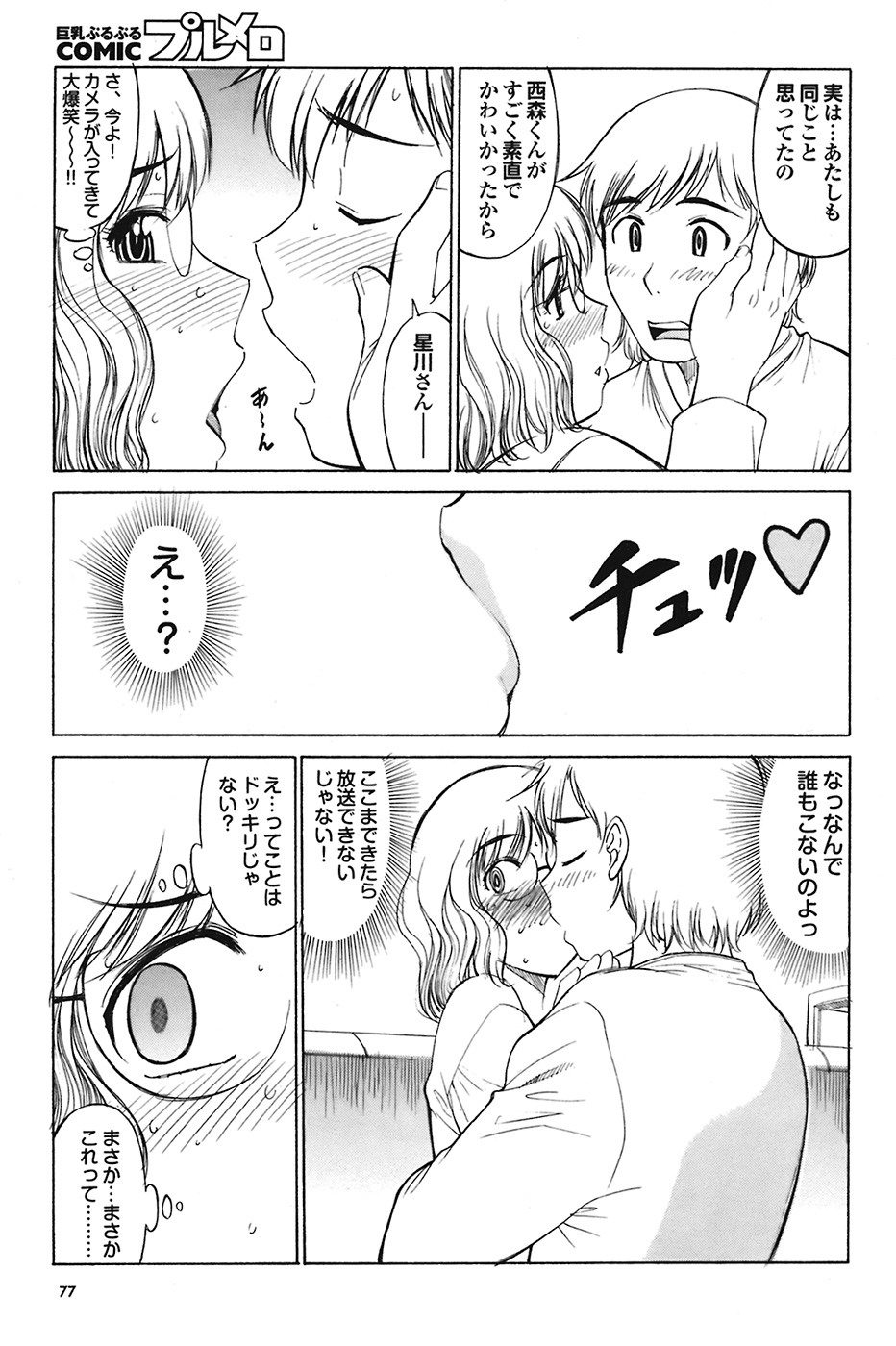 COMIC プルメロ 2009年1月号 vol.25