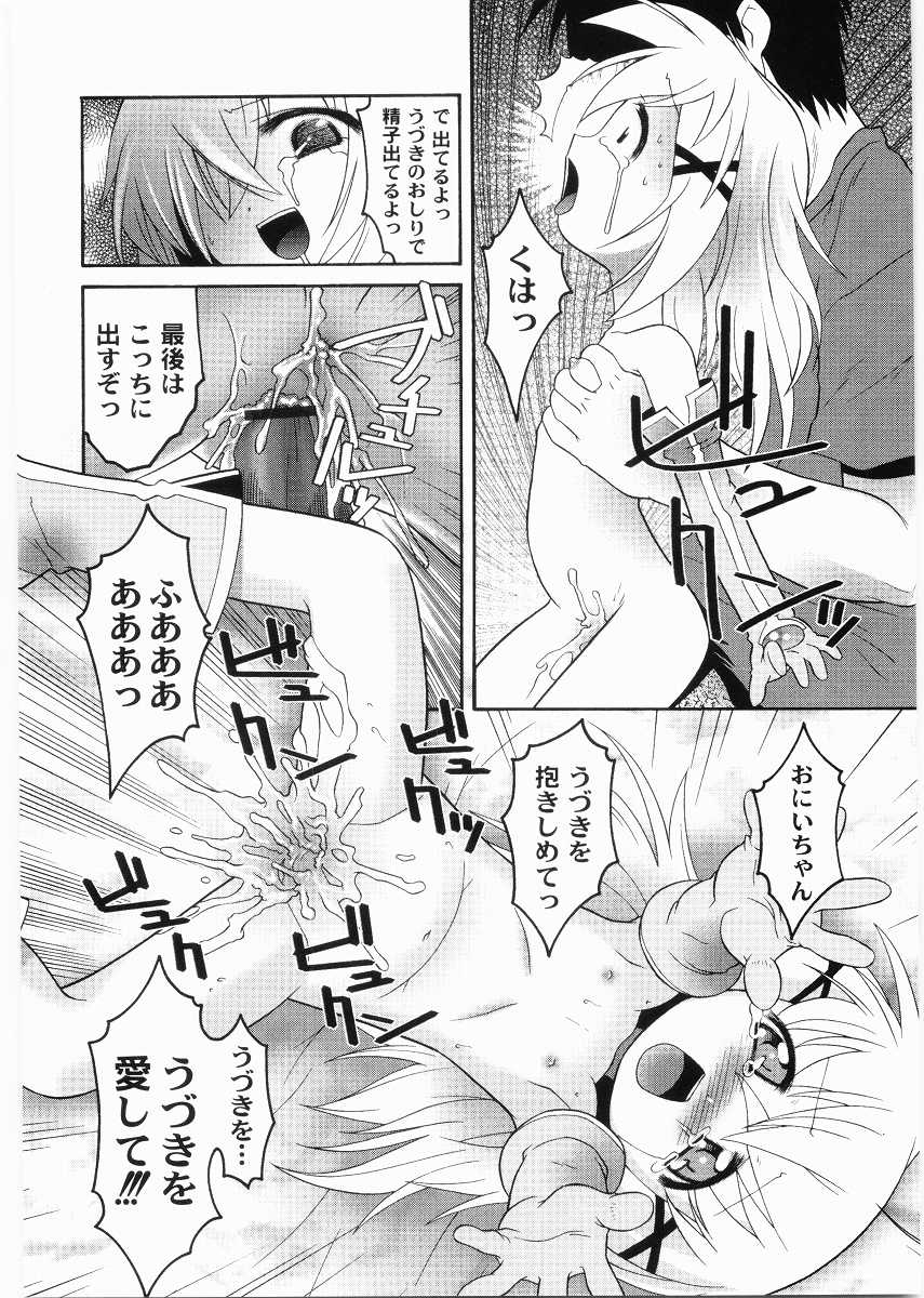 [ひめはち] 名門学園初等科調教室