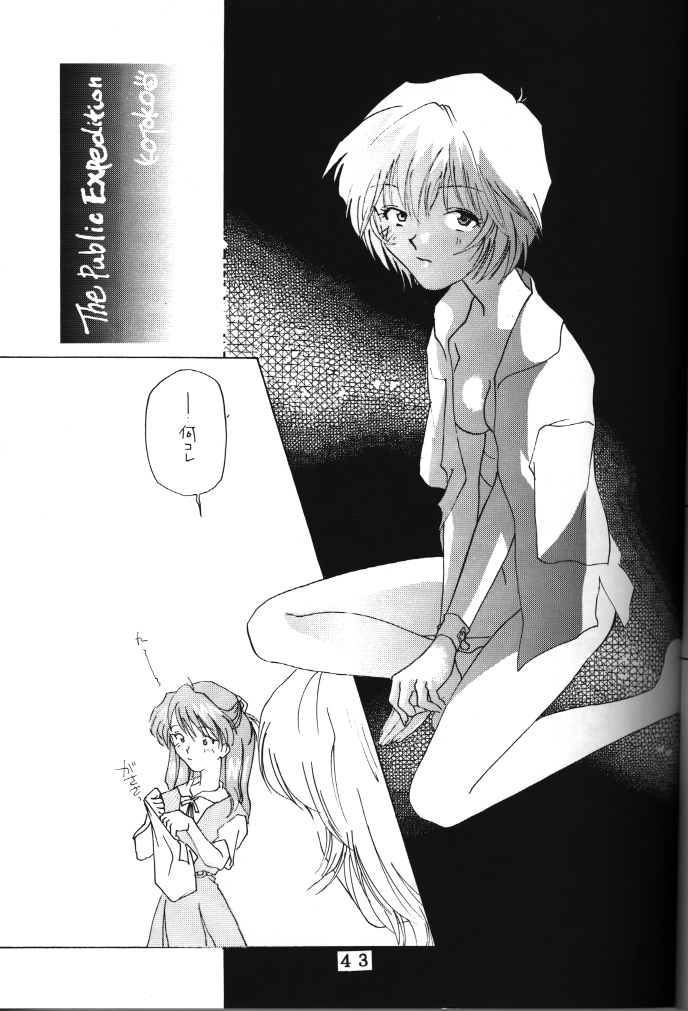 (C50) [時美組 (よろず)] T.C. LIBRA テイー・シー・ライブラ (新世紀エヴァンゲリオン、とんでぶーりん)