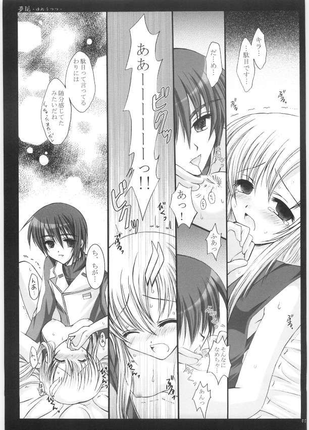[ARC (多摩川雪丸)] 夢現-ゆめうつつ- (機動戦士ガンダムSEED DESTINY)