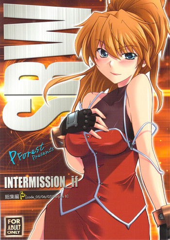 (C74) [P-Forest (穂積貴志)] INTERMISSION_if 総集編_B [code_05/06/07/08/plus B] (スーパーロボット大戦OG)