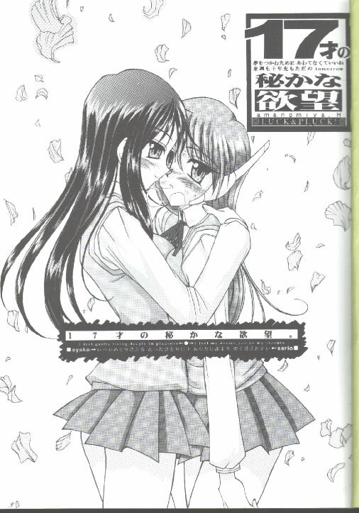 (C57) [LUCK&PLUCK!Co. (天宮遙)] 17才のひそかな欲望 (トゥハート)