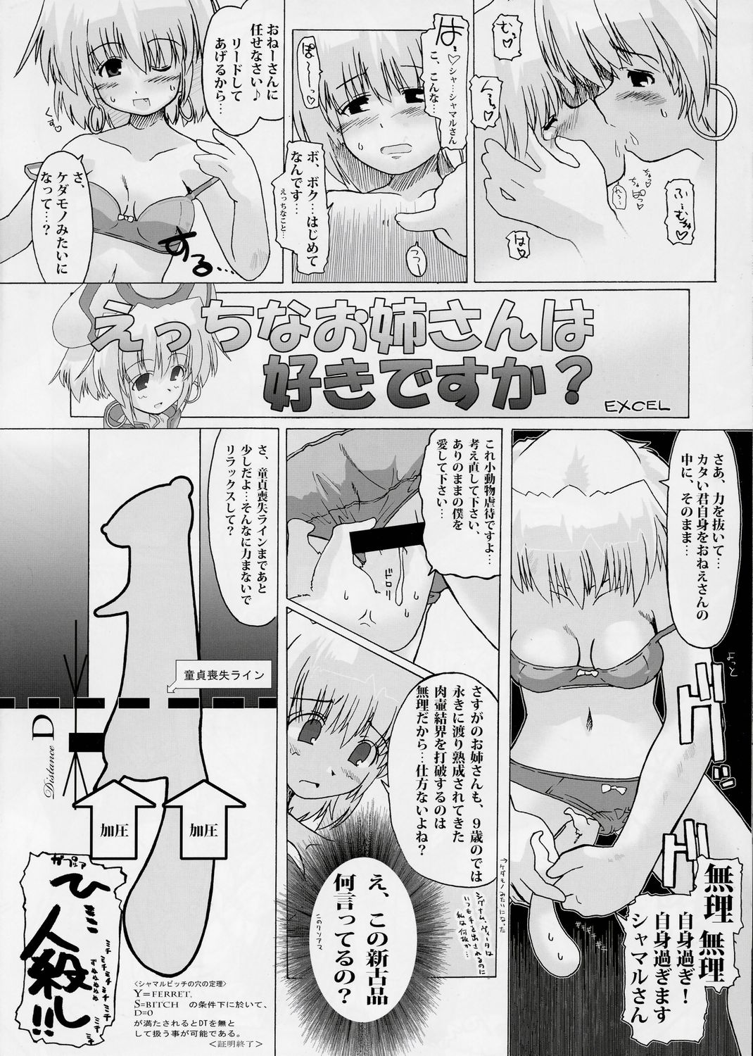 (C73) [STUDIO ふあん (来鈍)] 乳なのはさん。+シャマルさん。 (魔法少女リリカルなのは)