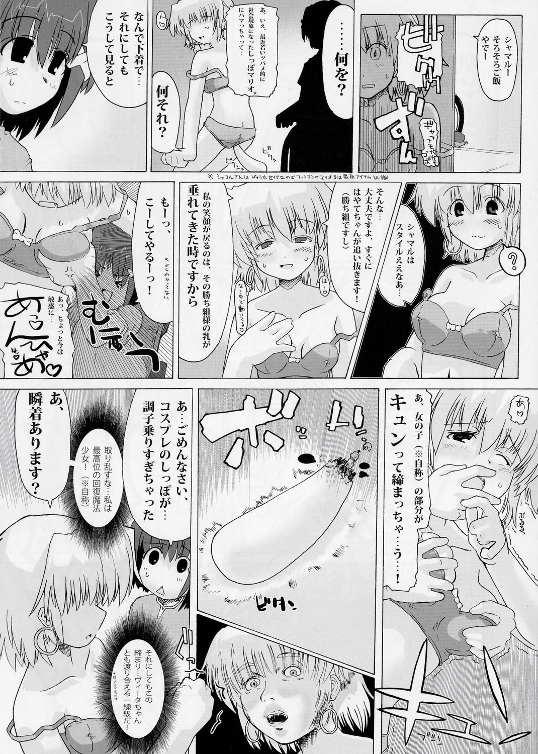 (C73) [STUDIO ふあん (来鈍)] 乳なのはさん。+シャマルさん。 (魔法少女リリカルなのは)