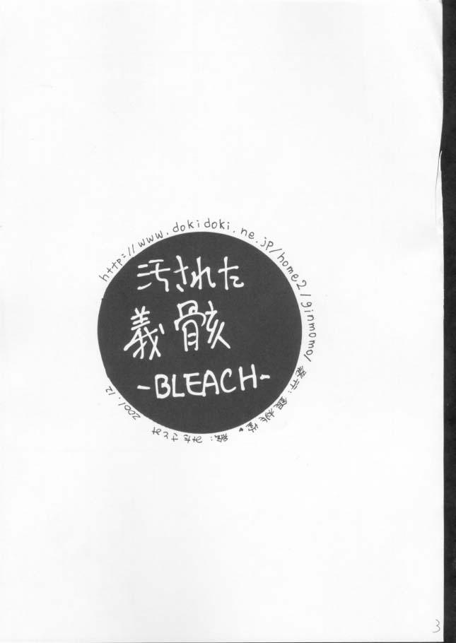 (C61) [銀桃堂 (みたさとみ)] 汚された義骸 (ブリーチ)