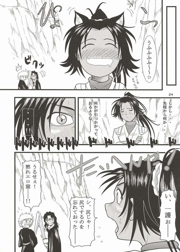 [ぐれいと・だだん (せいじろう かげちか)] 夜一にゃんの本2 (ブリーチ)