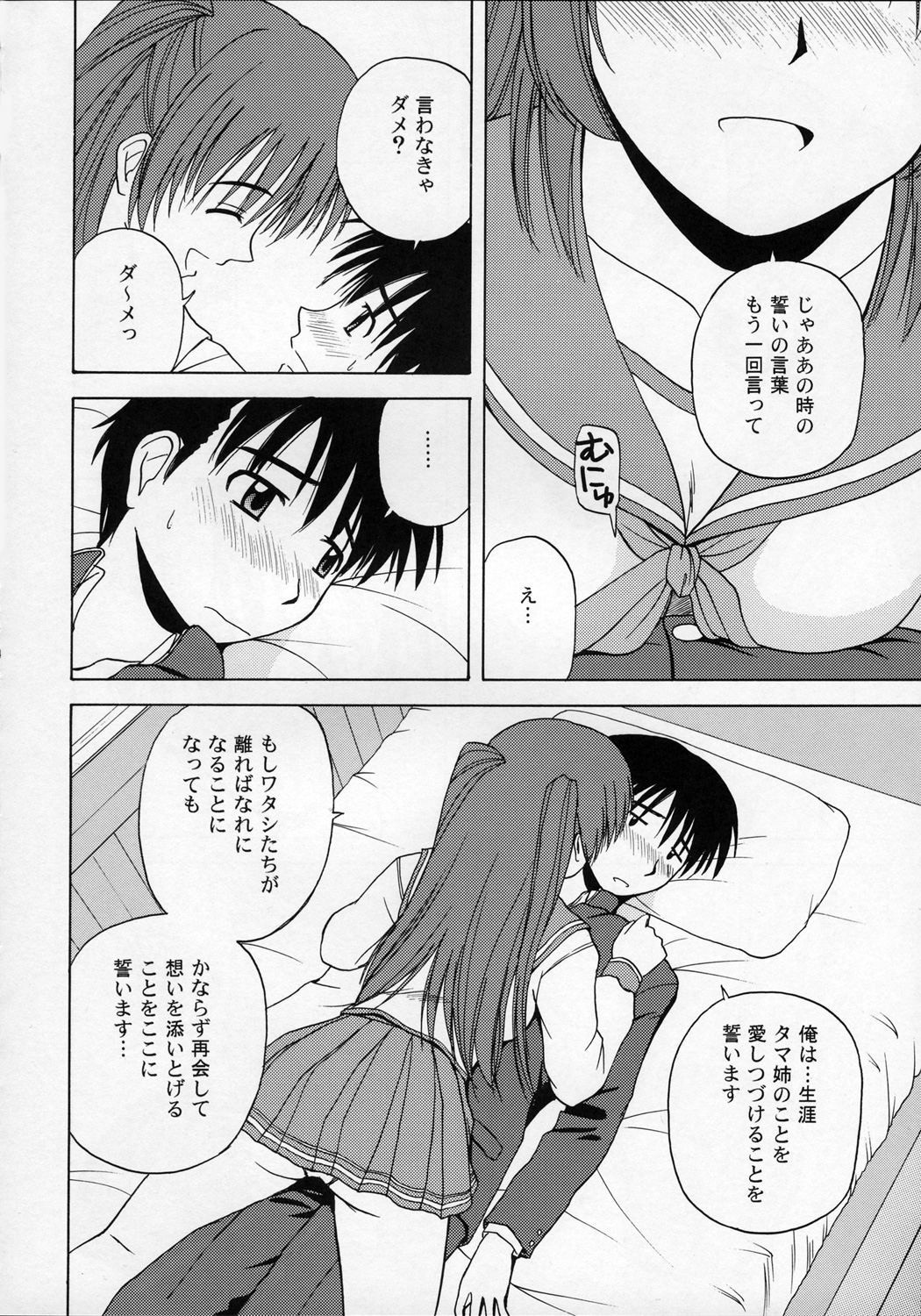 (C68) [G-SCAN CORP. (佐藤茶菓子)] タマ姉といっしょ (トゥハート2)