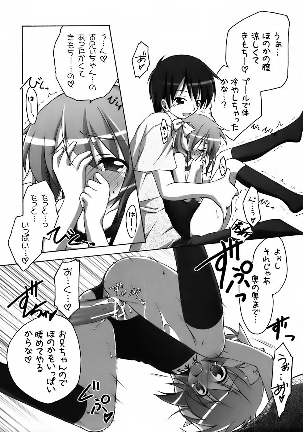 [株式会社メッセサンオー (よろず)] 翡翠 ~カワセミ~