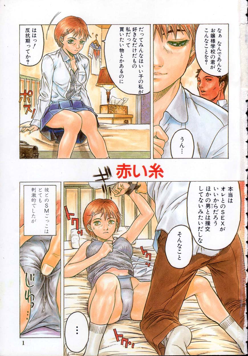 [ビューティ・ヘア] 家出娘調教