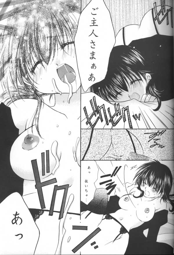 (C64) [桜館 (芹桜さくら)] とびきりの秘密 (犬夜叉)