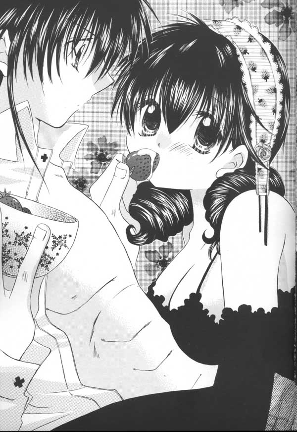 (C64) [桜館 (芹桜さくら)] とびきりの秘密 (犬夜叉)