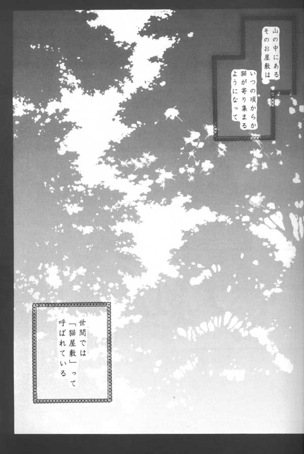(C64) [桜館 (芹桜さくら)] とびきりの秘密 (犬夜叉)