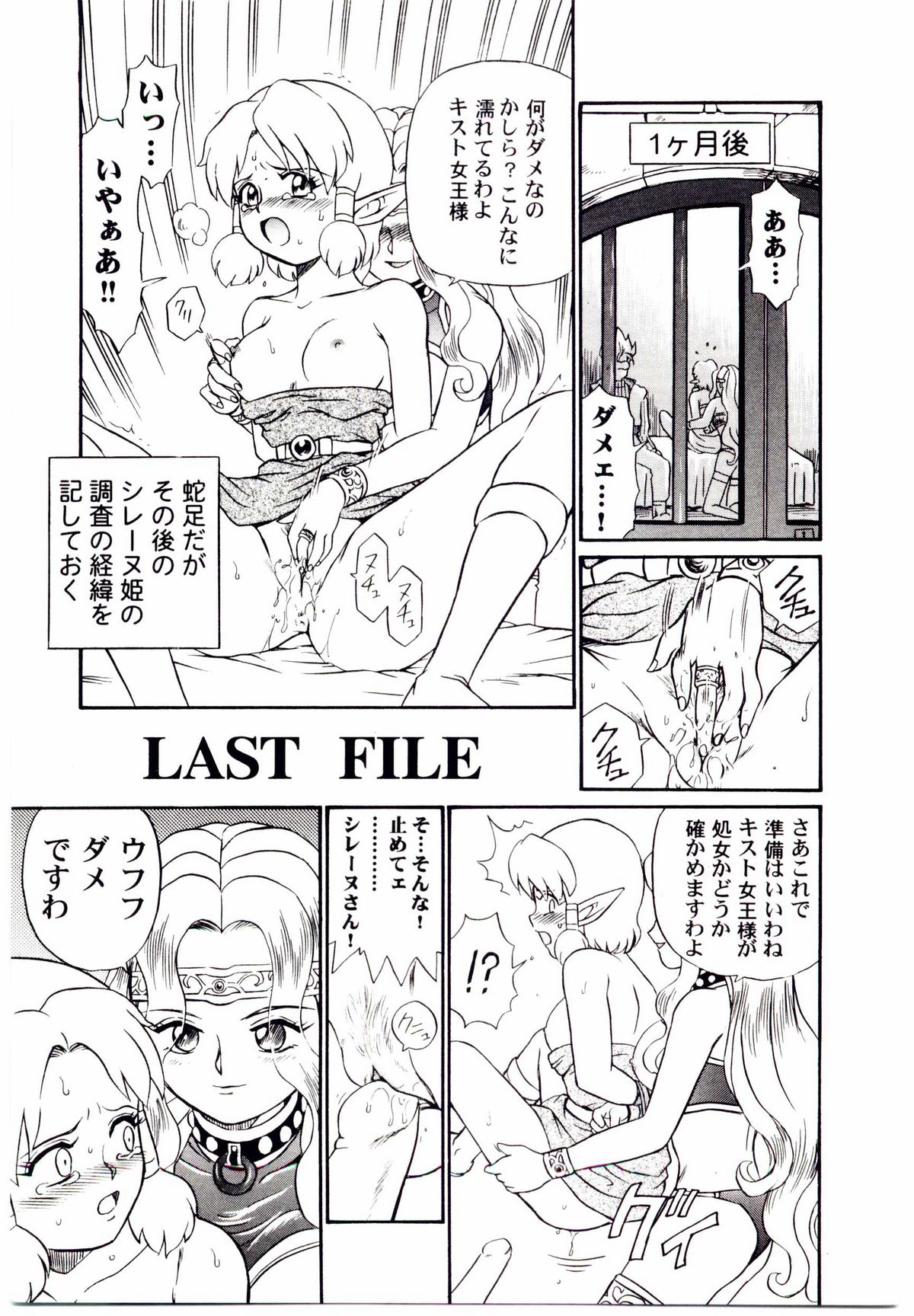 [IRIE YAMAZAKI] Princess File