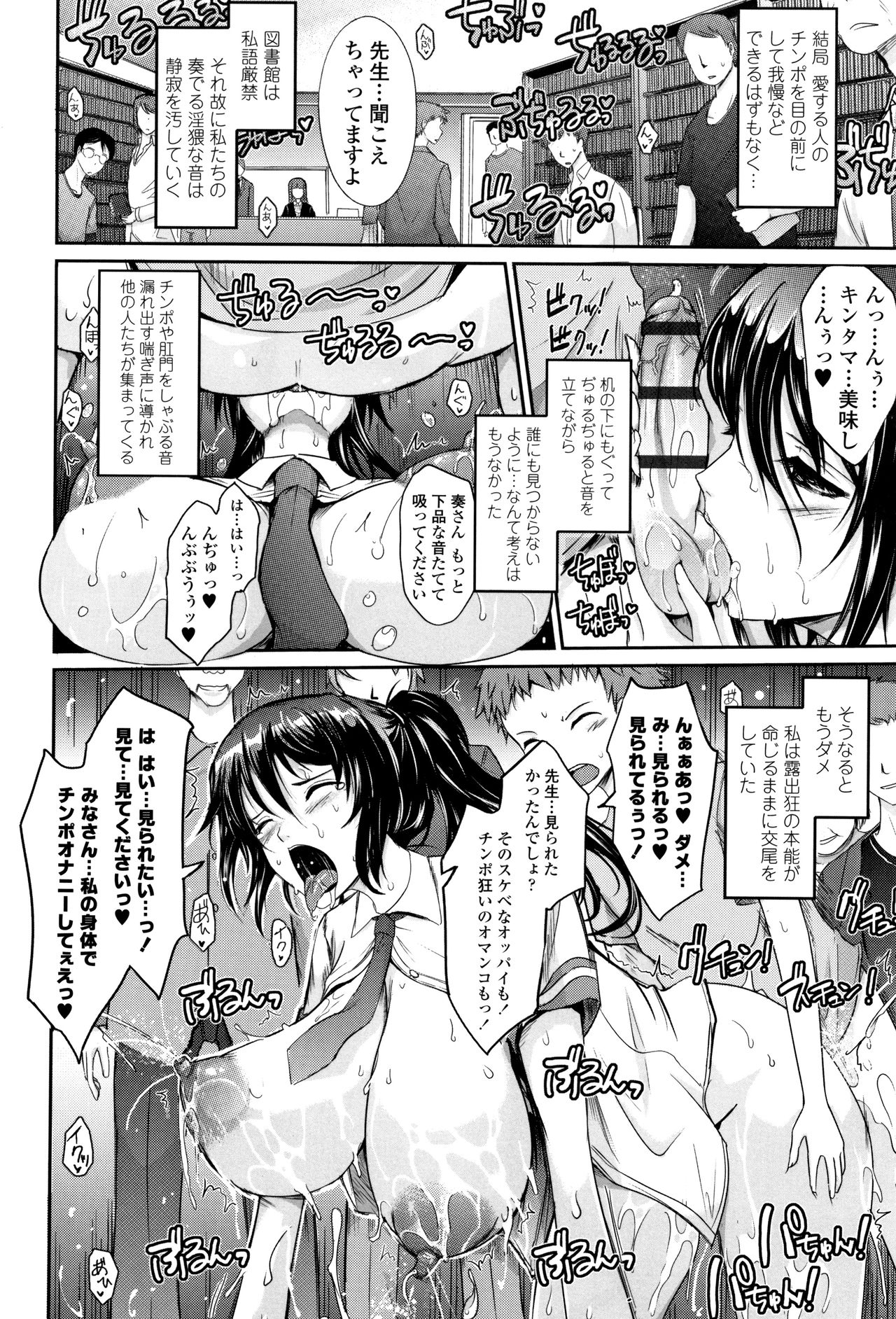 [TANA] 露出コレクション + イラストカード