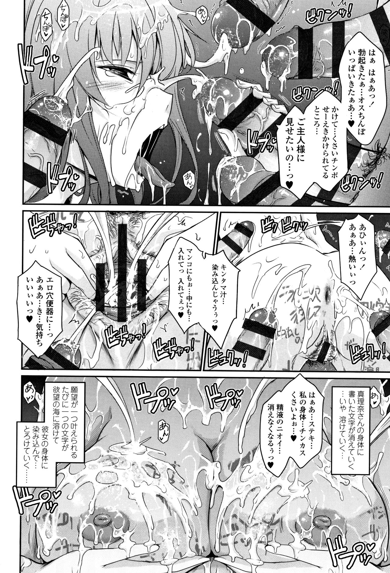 [TANA] 露出コレクション + イラストカード