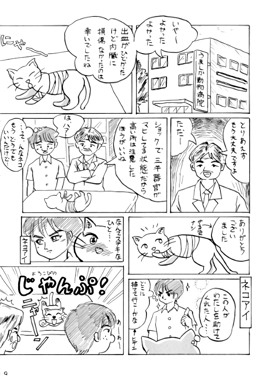 (C70) [ちみはうす (たかぴ)] ねこちみみ