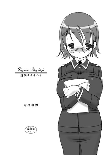 【金坊総海】おっぱまスカイハイ(スカイガールズ) 【金坊総海】おっぱまスカイハイ(スカイガールズ)