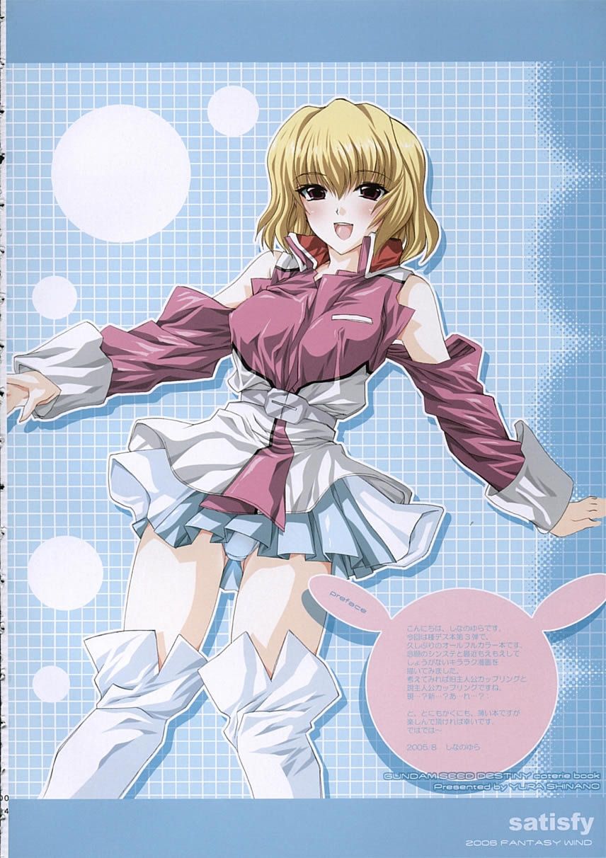 (C68) [FANTASY WIND (しなのゆら)] satisfy (機動戦士ガンダム SEED DESTINY)