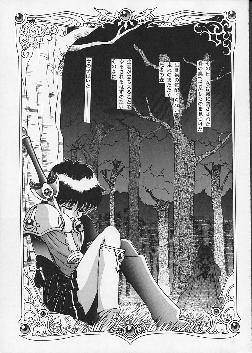 (C47) [めんげれくん , VETO (キャプテン・キーゼル , ZOL)] FOGGY FOREST (魔法騎士レイアース)