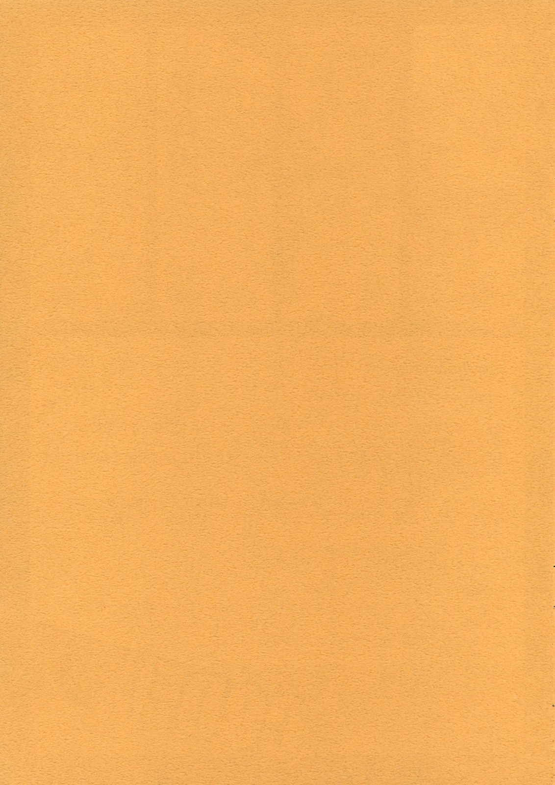 (サンクリ34) [恋愛漫画家 (鳴瀬ひろふみ)] Code XXX (コードギアス 反逆のルルーシュ)