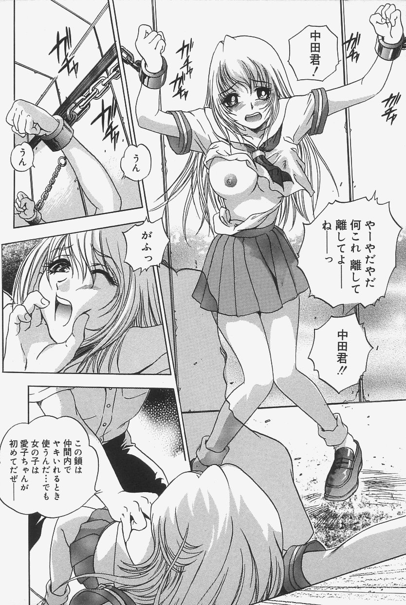 [THE SEIJI] 極上蒸しプリン