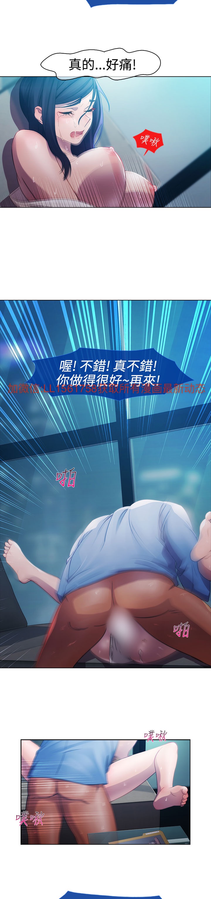 [Studio Gale] Lady Garden 淑女花苑 第一季 [Chinese]