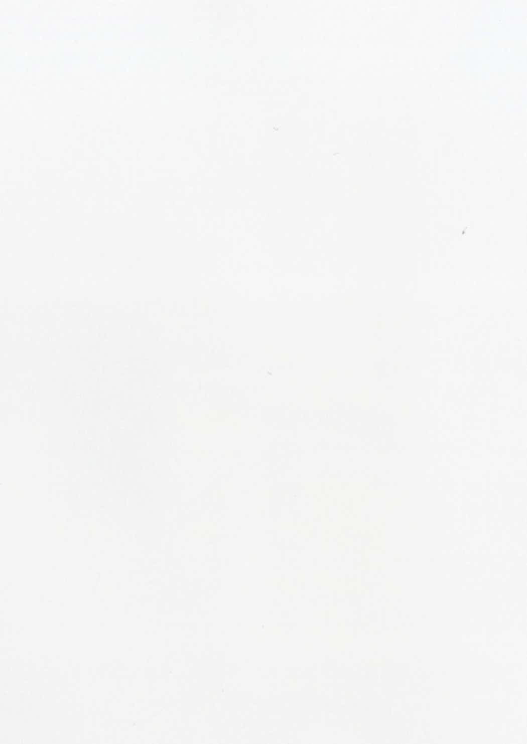 (C93) [Booblian (豚たま子)] 高雄さんは履いてない (アズールレーン)