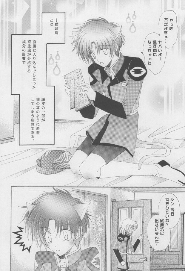 (C68) [睦春 (加賀未春樹)] 猫耳増量中 (機動戦士ガンダムSEED DESTINY) [ページ欠落]