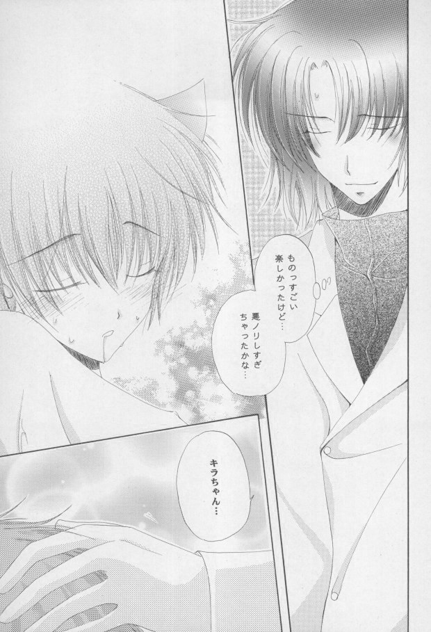 (C68) [睦春 (加賀未春樹)] 猫耳増量中 (機動戦士ガンダムSEED DESTINY) [ページ欠落]