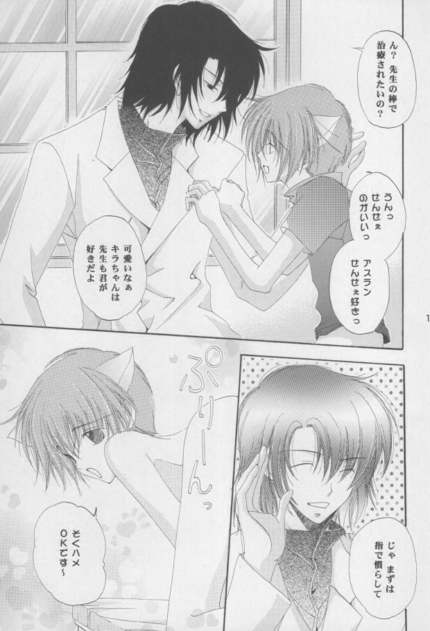 (C68) [睦春 (加賀未春樹)] 猫耳増量中 (機動戦士ガンダムSEED DESTINY) [ページ欠落]