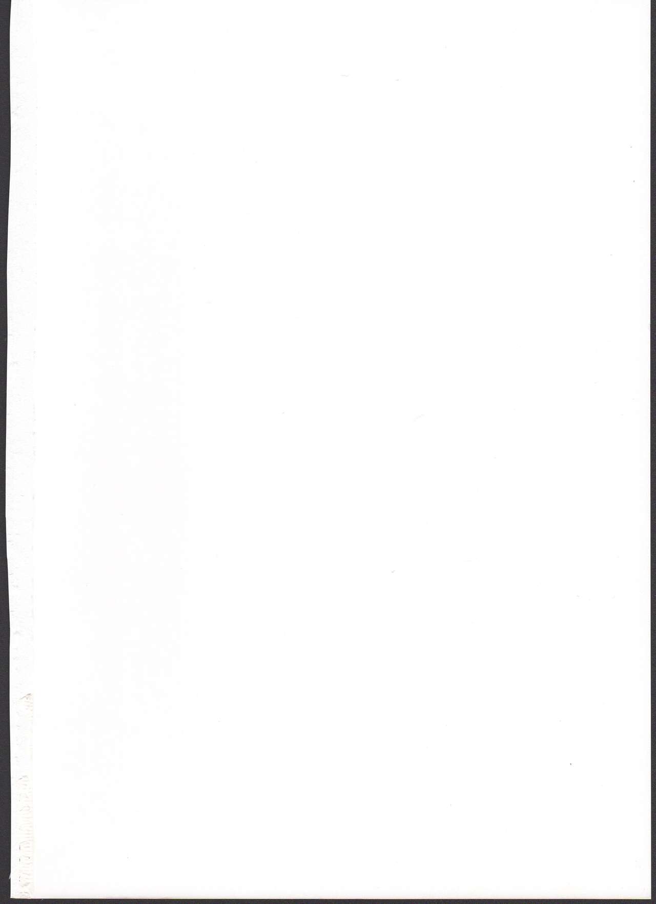 (C84) [カナリヤバいカナリヤ (まゃ～吾郎)] 神触操姫 (神羅万象)