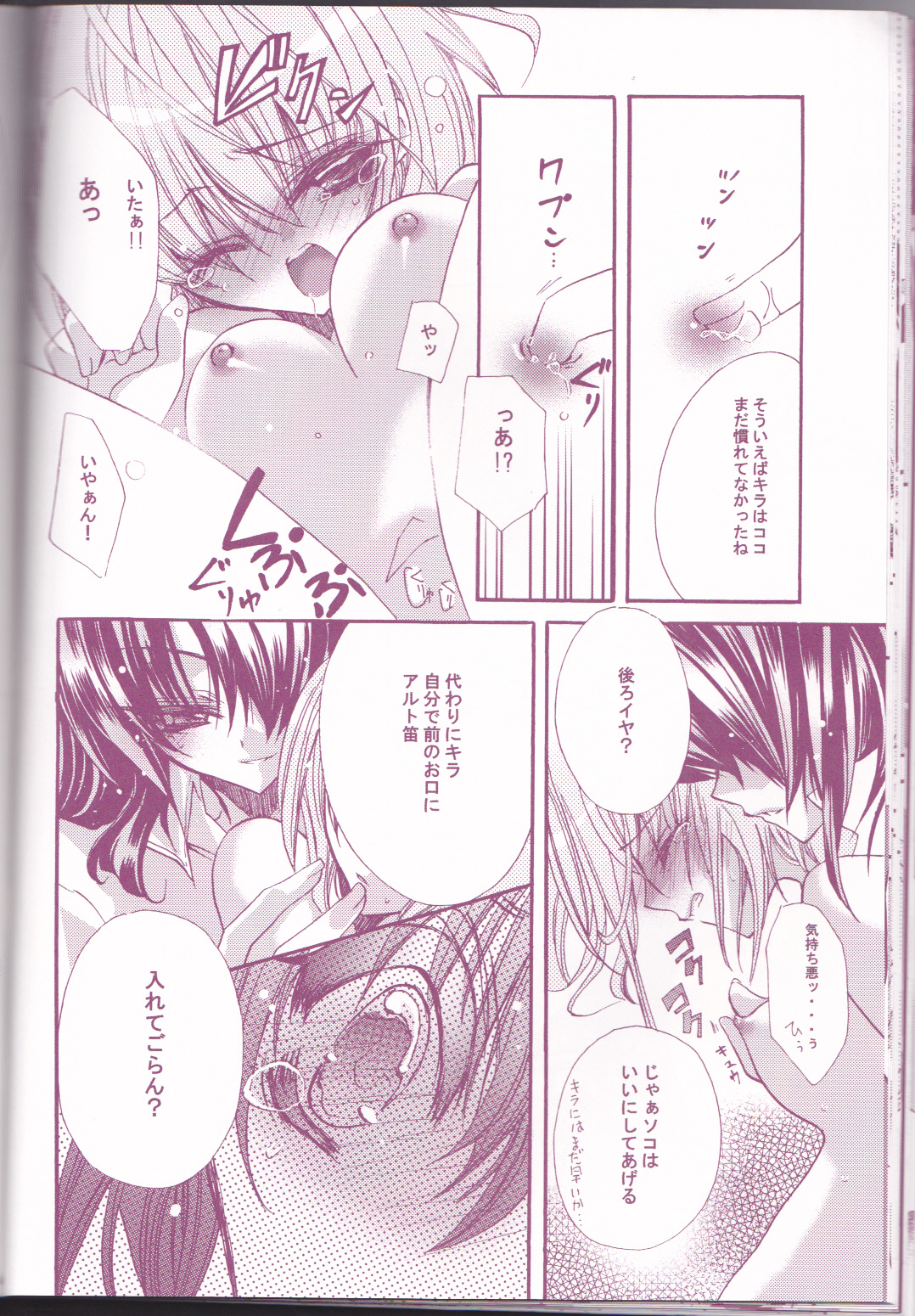 (C66) [LOLIPOP (武若丸)] 種蒔き学園生徒会執行部 (機動戦士ガンダムSEED)