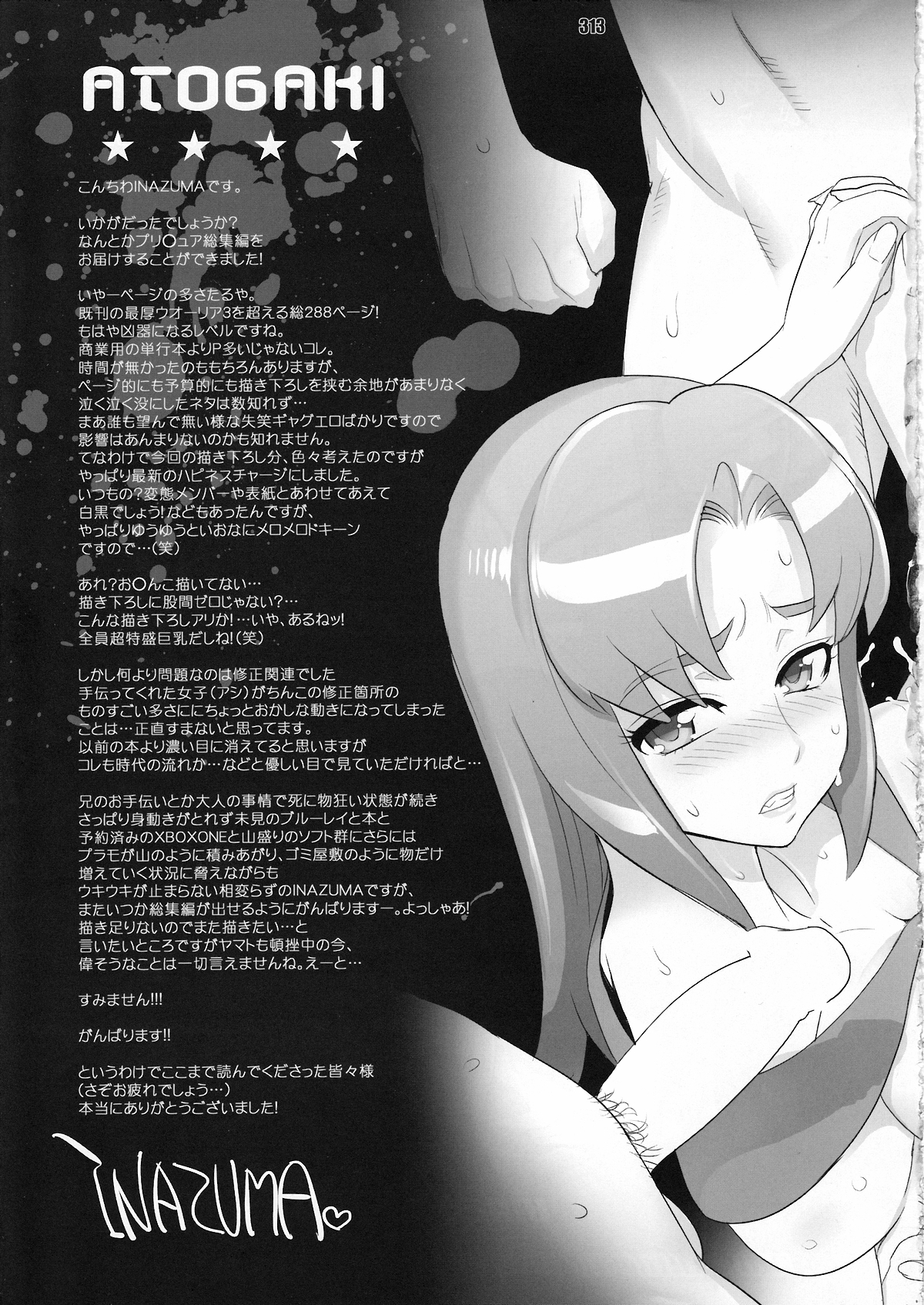 [Digital Accel Works (INAZUMA)] イナズマプリティウオーリア (プリキュアシリーズ)
