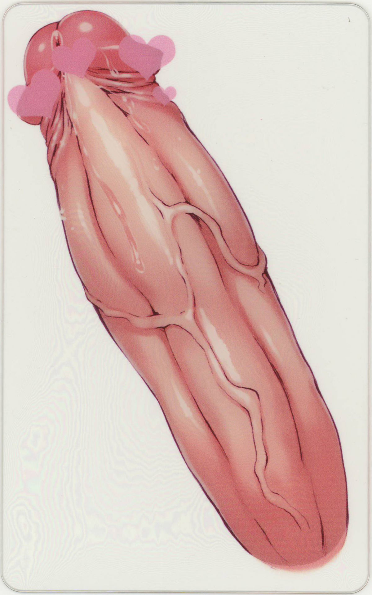 (ふたけっと7) [AskRay (ぼっしぃ)] せらふた