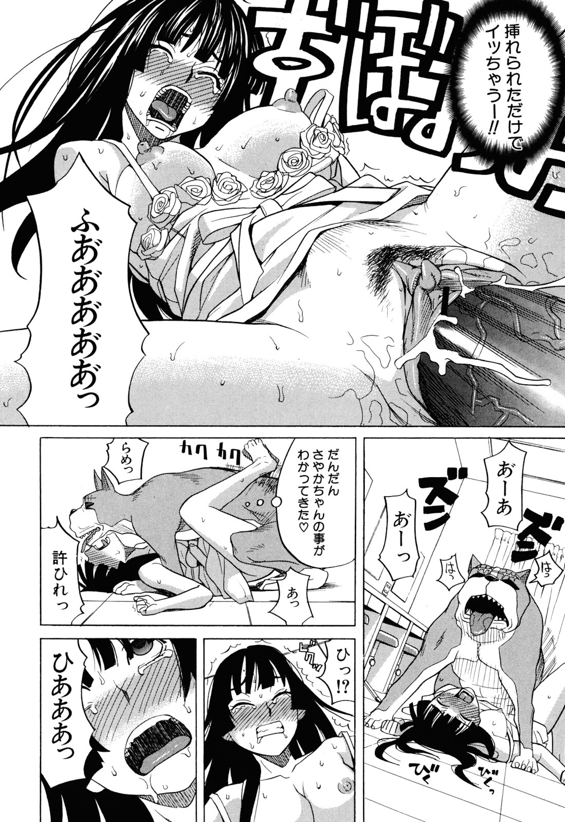 [ZUKI樹] 犬の生活
