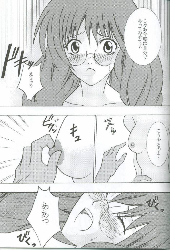 (C63) [クリムゾン (カーマイン)] 私の運命