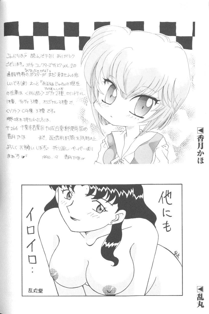 [アンソロジー] ラストチルドレン 2 (新世紀エヴァンゲリオン)