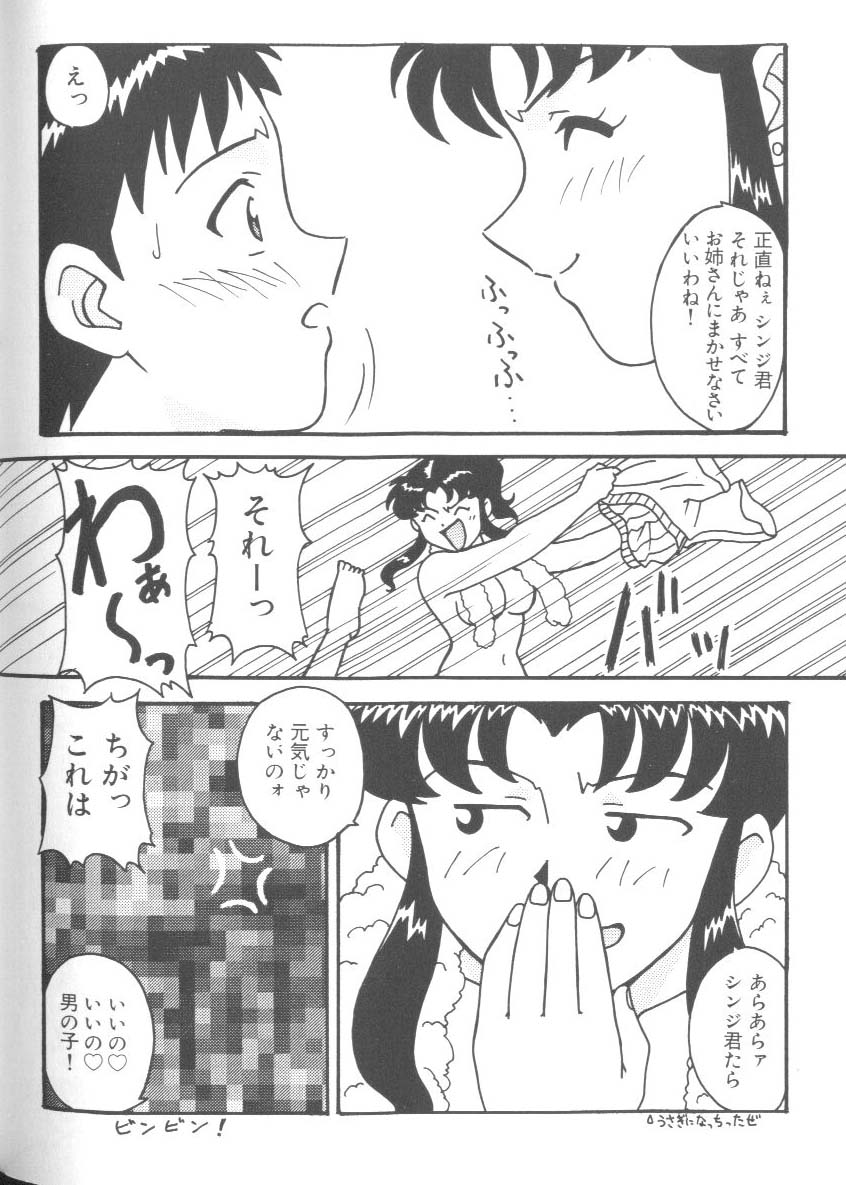 [アンソロジー] ラストチルドレン 2 (新世紀エヴァンゲリオン)