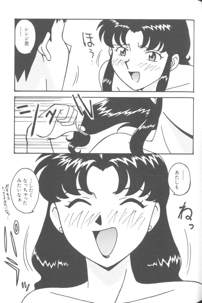 [アンソロジー] ラストチルドレン 2 (新世紀エヴァンゲリオン)