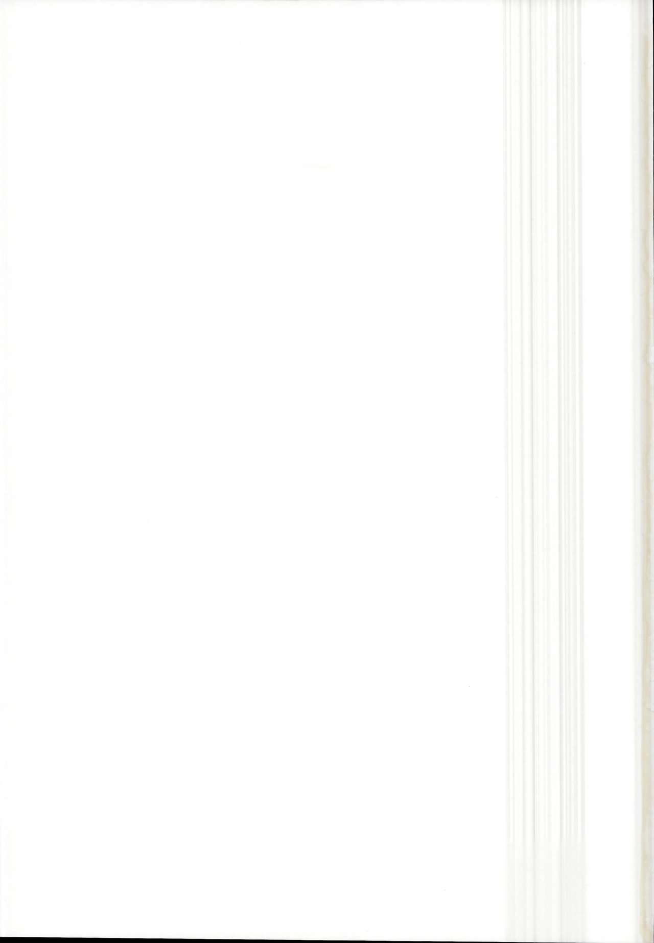 (C95) [チーズカンパニー (ペソ)] えっちなえっちな賢将 (東方Project)