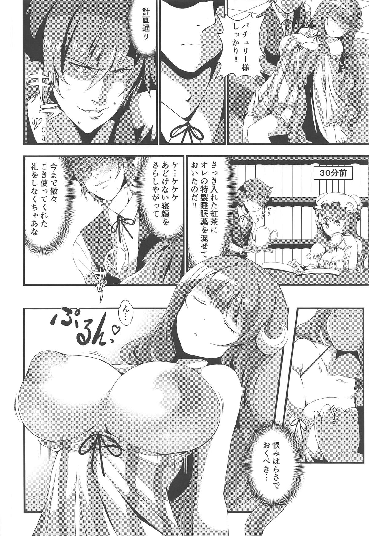 (C95) [おもち☆バズーカ (ディーゴ)] むっきゅんパチェみるく (東方Project)