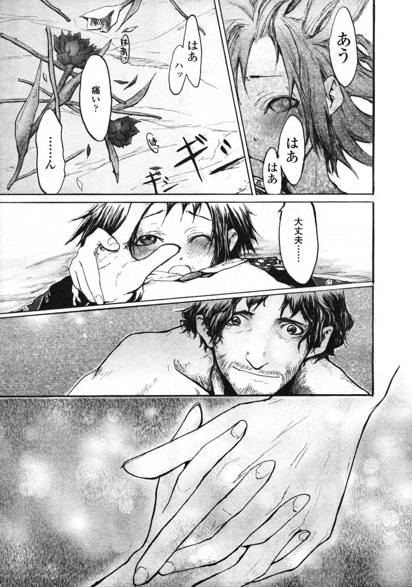 COMIC LO 2004年12月号 VOL.11