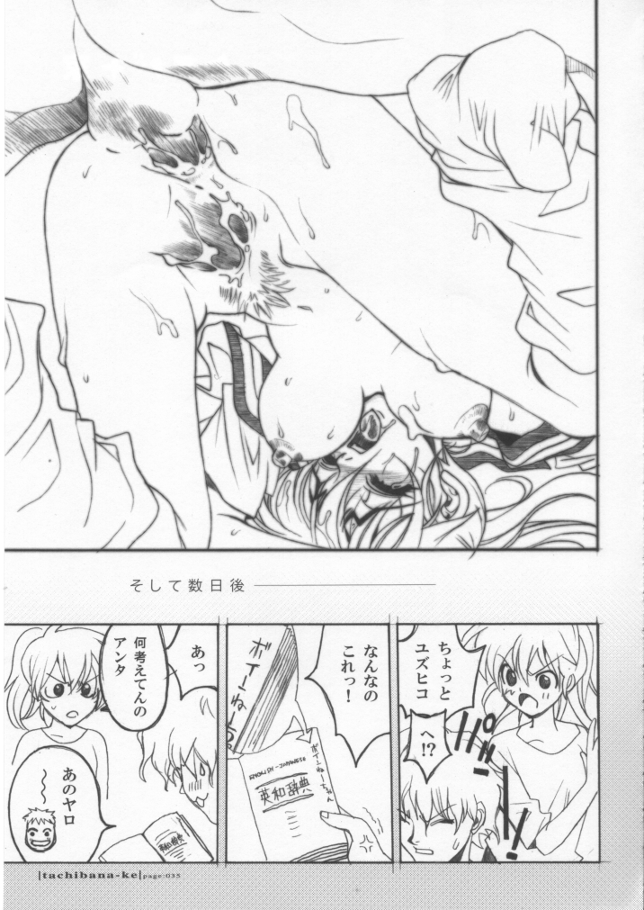 (C62) [PIGGSTAR / WRENCH STUDIO (名古屋鯱八)] タチバナ家。 (あたしンち)