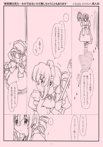 (COMIC1☆02) [bolze.] 家政婦は見た…わけではないけど察しちゃうこともあります (ハヤテのごとく！)