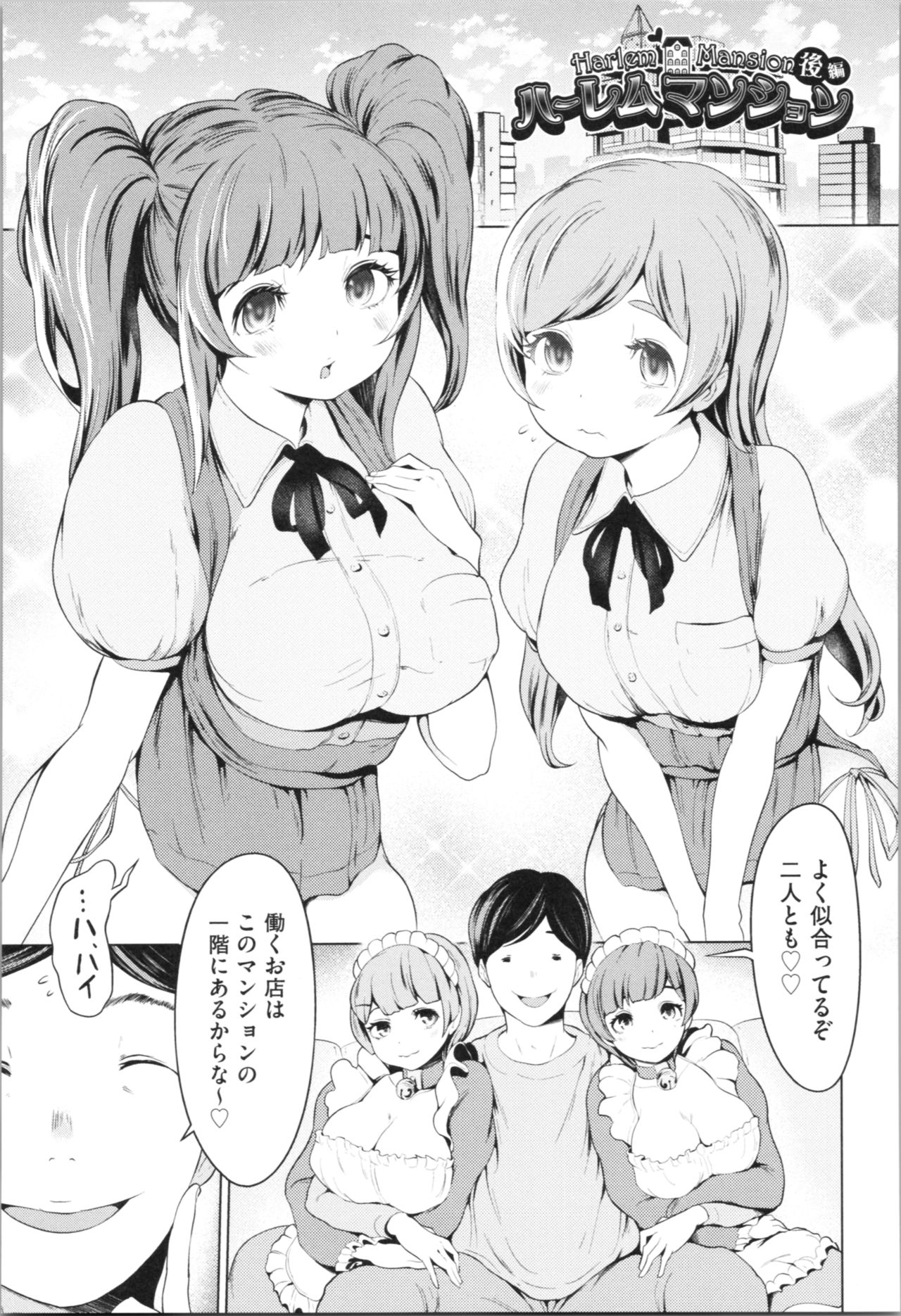 [成宮亨] ハーレムマンション